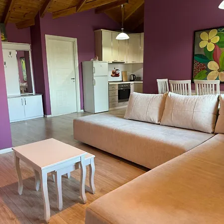 Bejart 8 ティラナ